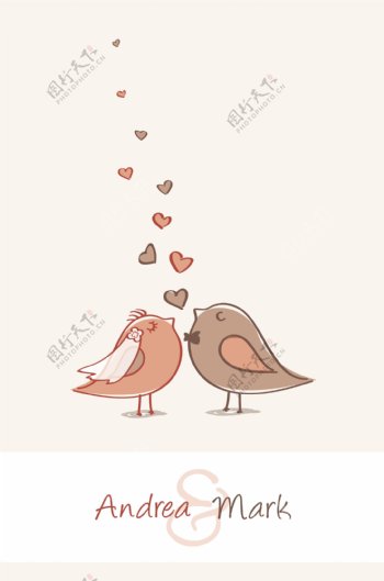 爱情鸟图片