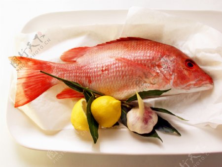 鱼类美食图片