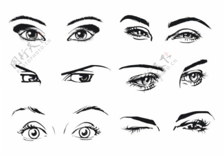 6种女性眼睛矢量素材