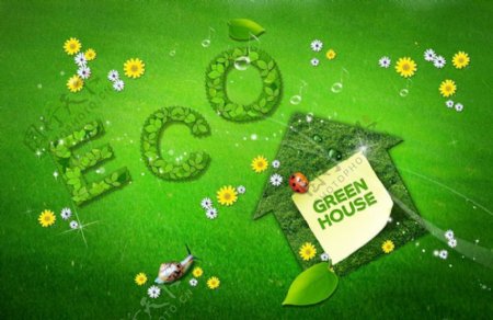 高清EOO绿色概念草树素材