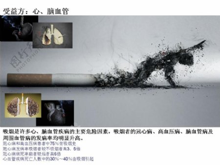 禁烟宣传PPT模板