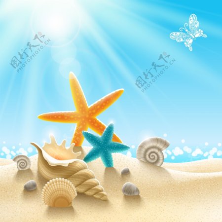 沙滩海星