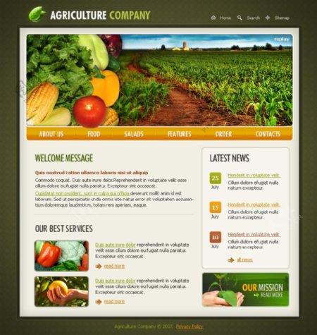 绿色蔬菜网站设计