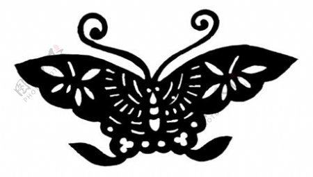 位图蝴蝶昆虫花纹色彩免费素材
