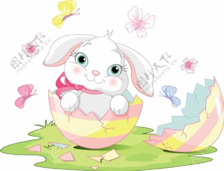 复活节里的鸡蛋兔子