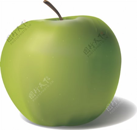 绿色苹果矢量图