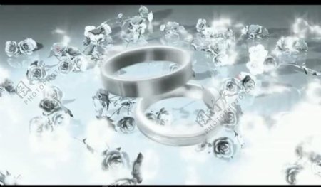 婚礼戒指背景视频素材图片