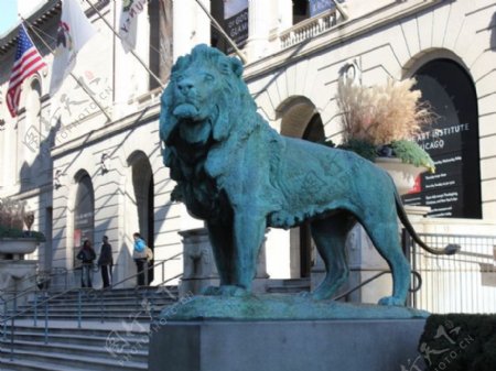 标志性的狮子在芝加哥艺术学院的步骤南