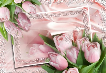 粉红色玫瑰相框图片