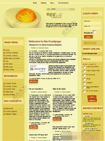 黄色大气创意设计网页模板