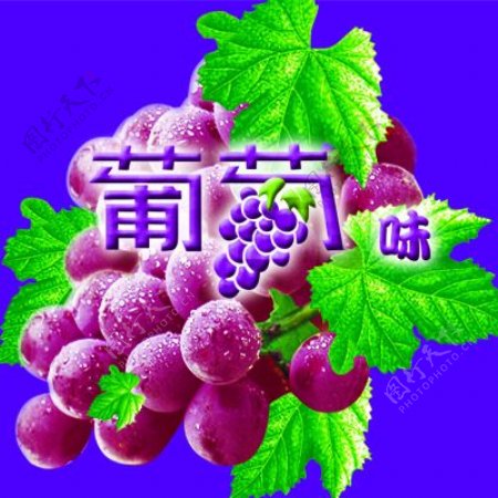 紫葡萄PSD源文件