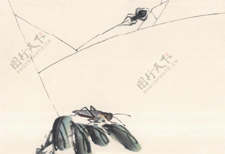 水墨画昆虫蚂蚱蛐蛐知了蝗虫中华艺术绘画