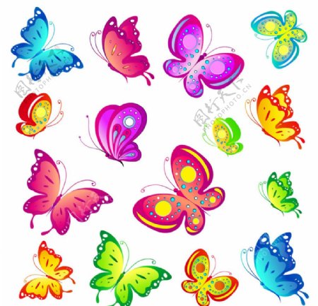 各种各样的蝴蝶图片