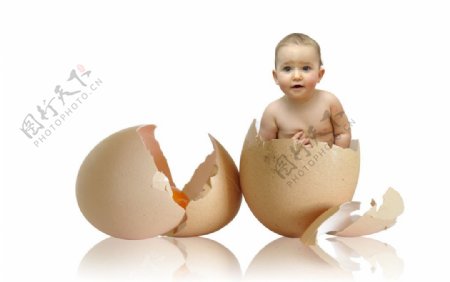 蛋壳中的可爱婴儿宝宝图片