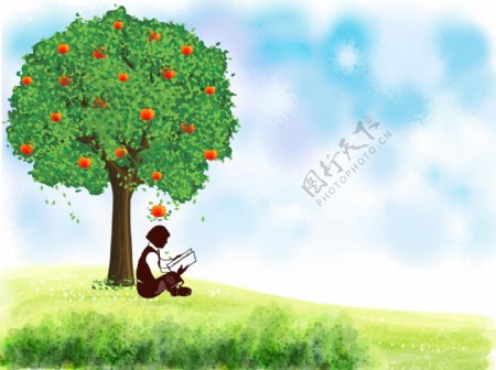 做在苹果树下的男孩图片