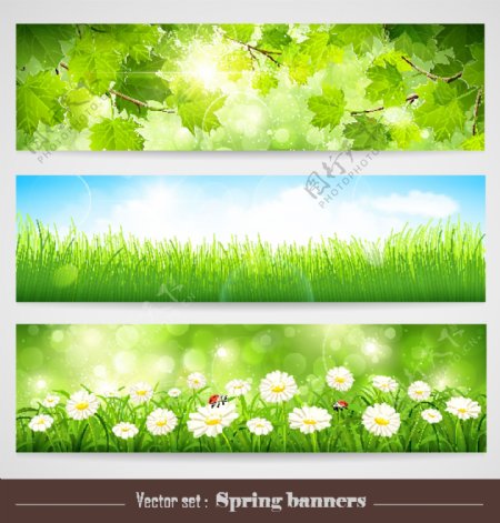 春天主题背景绿色春季背景图片