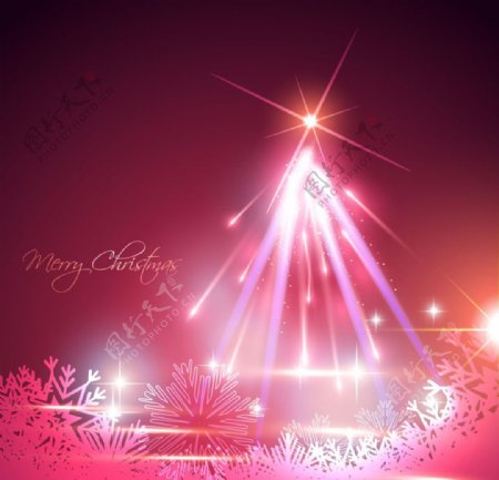 圣诞灯光树图片
