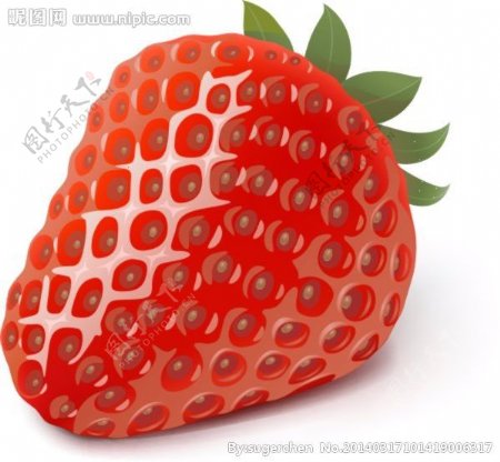 逼真矢量草莓图片