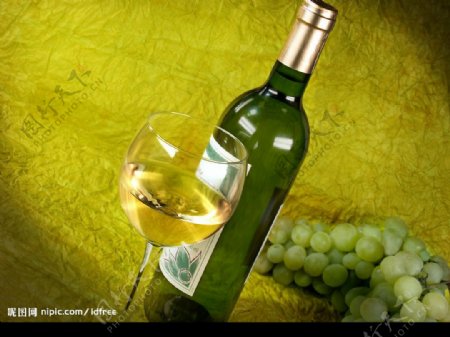 Alex设计素材精品葡萄酒图片