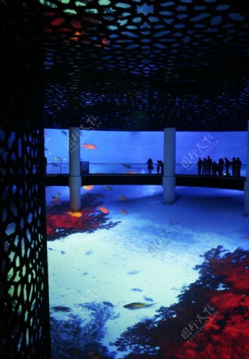 沙特馆5D影像海底世界图片