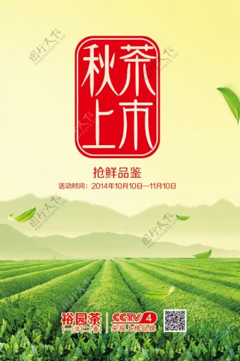 秋茶上市海报图片