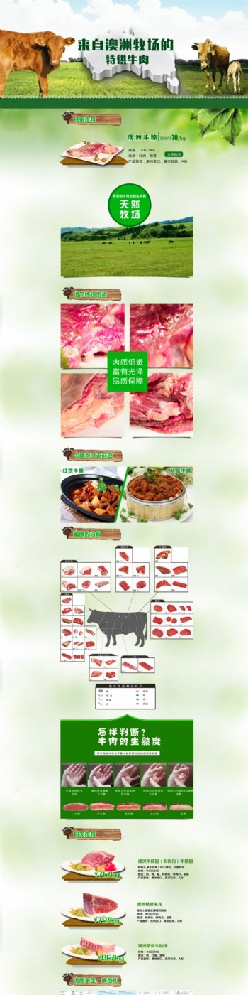 牛肉专题页图片