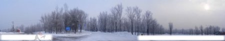 报恩寺门前树林雪景图图片