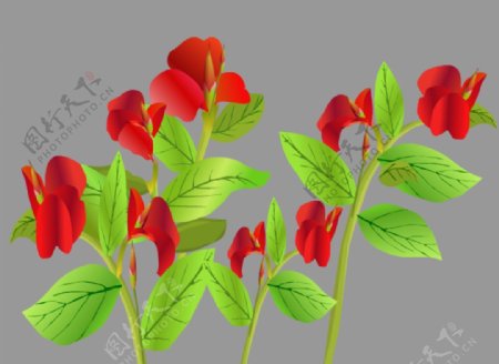 红色的花朵flash矢量动画