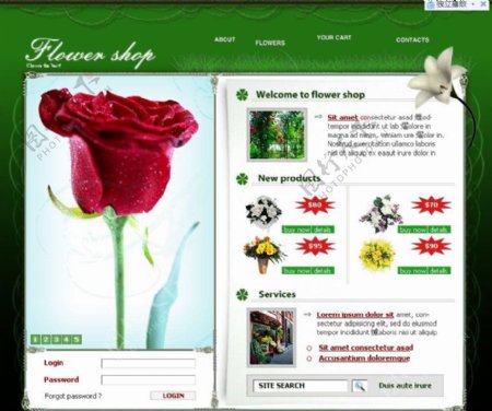 自然花茎网flash网站