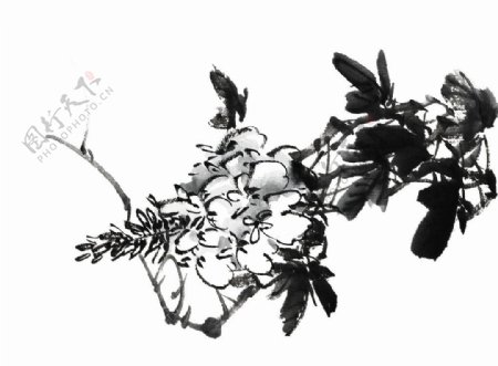 PSD分层素材透明背景中国画水墨植物图片