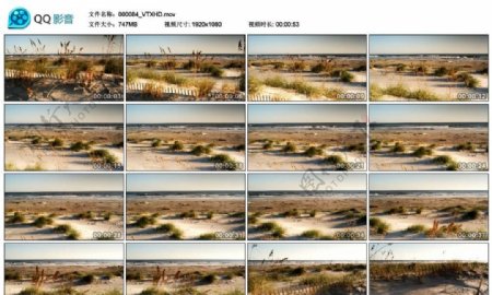 海边沙丘风光高清实拍视频素材