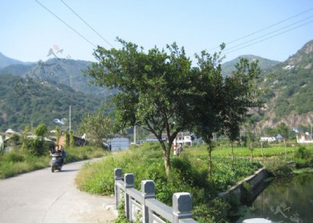村庄景观图片