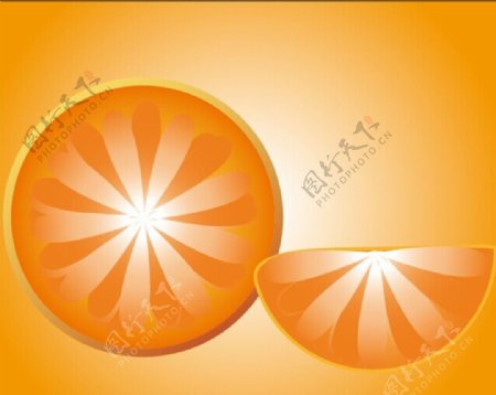 橙子截面图片
