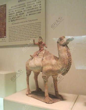 唐朝釉陶载物骆驼及牵驼俑图片
