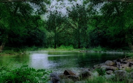 林中池塘图片