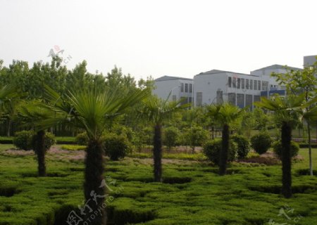 校园景观绿化图片