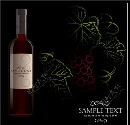 手绘葡萄葡萄酒标签背景图片