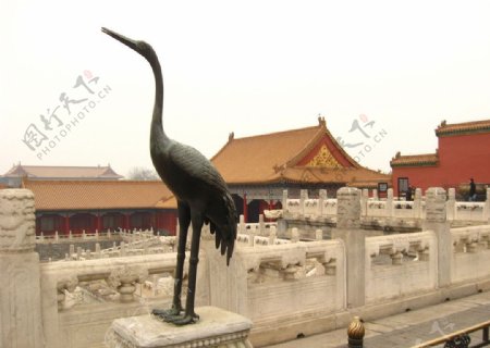 北京故宫博物馆铜鹤图片