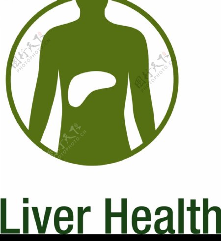 18LiverHealth肝脏健康图片
