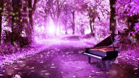 紫色梦幻森林图片
