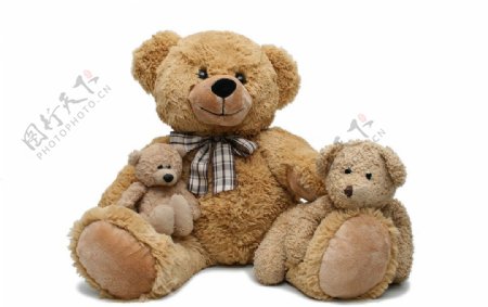 幸福的玩具熊妈妈熊宝宝图片