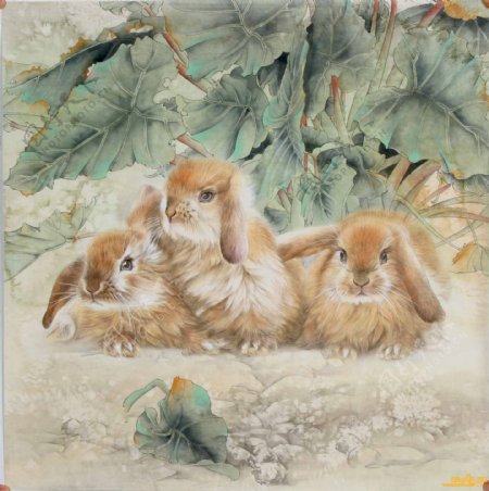 国画宠物兔垂耳兔兔子图片