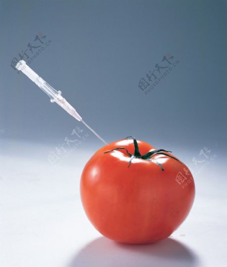 番茄西红柿针筒模型图片照片素材图库
