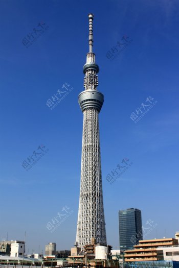 东京晴空塔图片