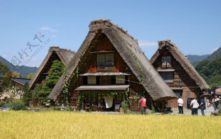 日本白川乡村落图片