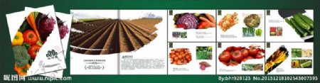 精品农业画册图片