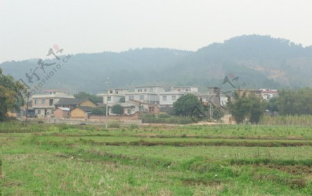 我的家乡小凤山村图片