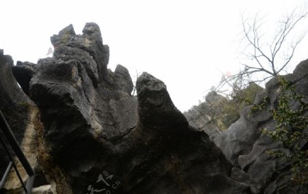 石林奇石怪石图片