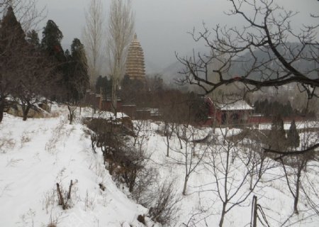 嵩岳寺雪景图片