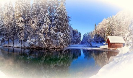 唯美雪景图片